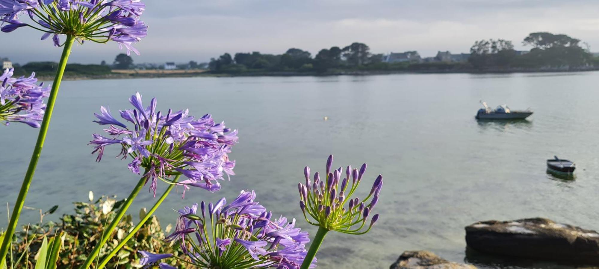 Kelerdut Plage Plouguerneau Exteriér fotografie